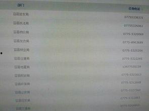 新闻爆料电话号码,追踪真相的神秘号码